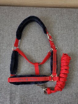 Ohlávka s vodítkem - 2