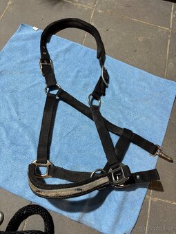 Ohlávka s vodítkem Kentaur - 2