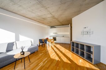 Pronájem bytu 2+kk 64 m², Plzeň - Severní Předměstí - 2