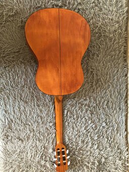 Kytara fender - 2