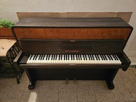 Piano Koch & Korselt - 2