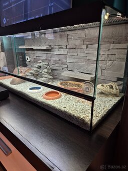 Terarium - 2