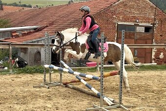Pony kobylka 121 cm - 2