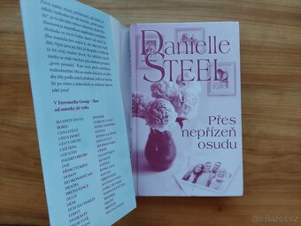 Danielle Steel Steelová - Přes nepřízeň osudu, romantika - 2