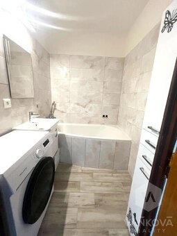 Pronájem bytu 1+1, Cvikov - 2