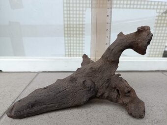 akvarijní kořen - 2