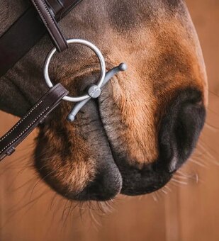 Fager Nina baby fulmer 13,5 - 2