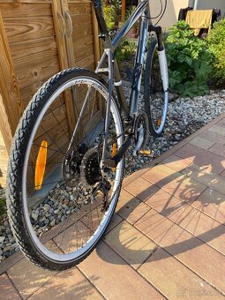 Kolo Scott 26” - 2