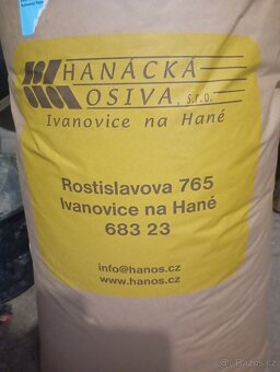 Prodám ječmen jarní 34 kg -Solist - 2