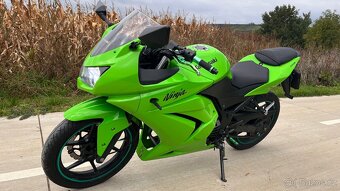 Kawasaki ninja 250r - 2