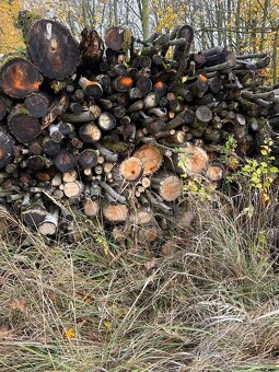 Palivová kulatina, vrba bříza jíva- mix - 2