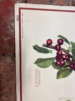 Školní plakáty 100 ks - 2