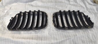 Ledvinky z BMW E53 - 2