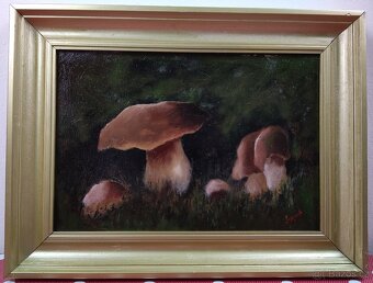 Obraz Jan Rapin - Hříbky 50x38cm - 2