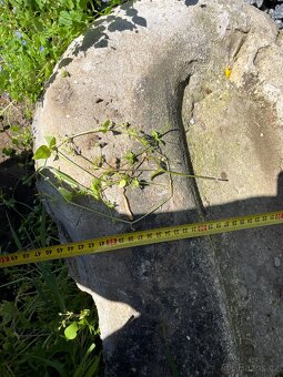 Betonový žlab pod okap - 2