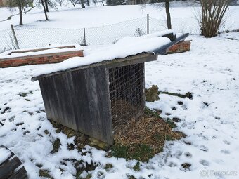 Kachník, kurník, psí bouda - 2