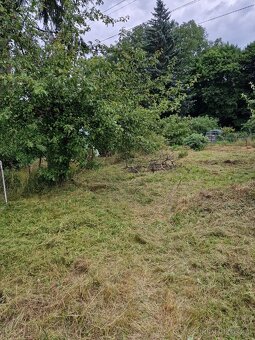 Prodam zahradu v kolonii Bazantnice v Marianskych Laznich - 2