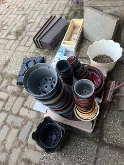 daruju kvetinace - 2