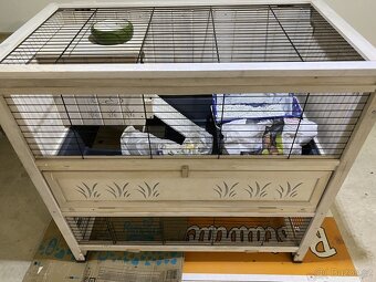 KLEC NA KRÁLÍKA - 2