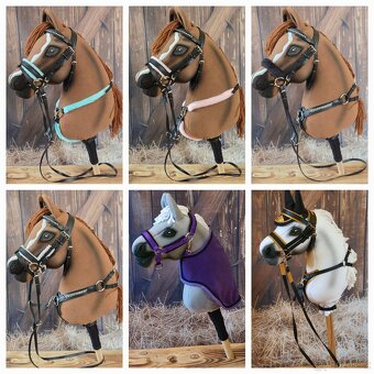 Hobby horse - 2