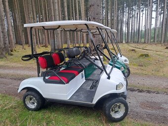 Golfovy voziky už jen bílé k odběru - 2