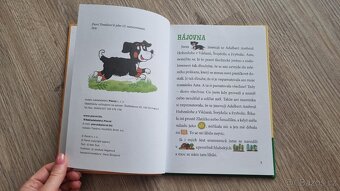 Knížka Pejsek Tom - obrázkové čtění - 2