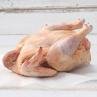 Brojlerová kuřata - 2