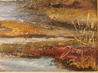 Obraz Joža, Šumava rašeliniště, olej 28x41 - 2