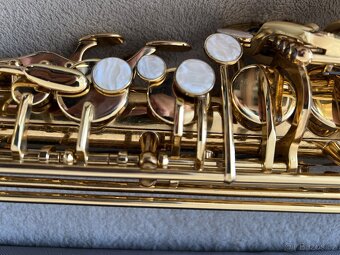 Alt saxofon Roy Benson komplet - 2