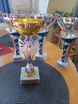 Trofeje -Poháry - 2