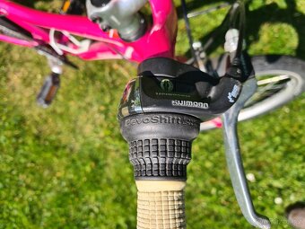Specialized 20 - 2