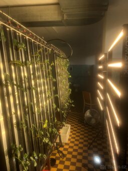 Grow světlo (Lumatek Zeus 600W) 2 kusy - 2