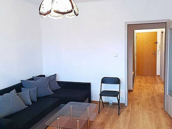 Pronájem 2+1 Čéčova, České Budějovice - 2