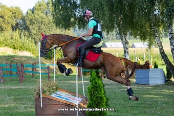 Top valach - 2