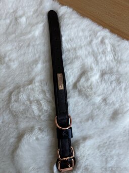 Obojek pro psy Equestrian Stockholm - 2