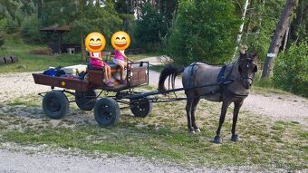 Bryčka za koně - 2