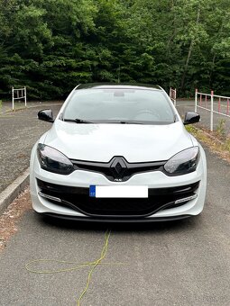 Renault Megane III RS 265 CUP - 2
