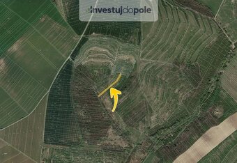 Prodej pole 1 770 m², Hustopeče, ev.č. 2025-06-12-3 - 2