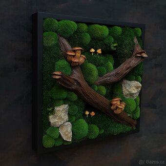 Mechový obraz / obraz ze stabilizovaného mechu - 2