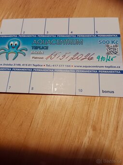 Permanentka na bazén v Teplicích - 2