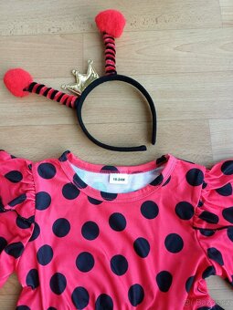 Karnevalový kostým BERUŠKA 18-24 m - 2