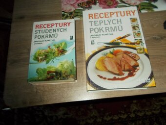 Receptury teplých a studených pokrmů - 2