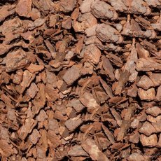 Piniová Kůra ( Pine Bark ) - 2