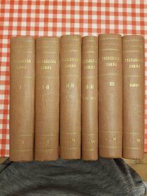 Theologická summa - Akvinský (1-6) - 2