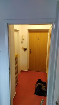 Pronájem bytu 2+1 - 2