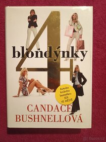 4 blondýnky, Román pro muže - 2