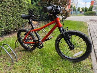 Kolo Rascal 16” - 2