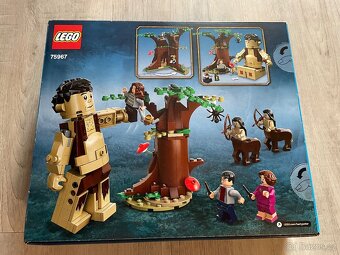 Lego Harry Potter 75967 - 2