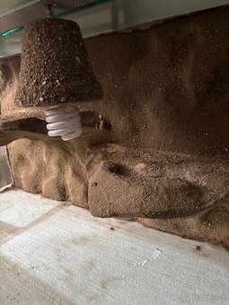 Terárium 100x50x50 cm - 2