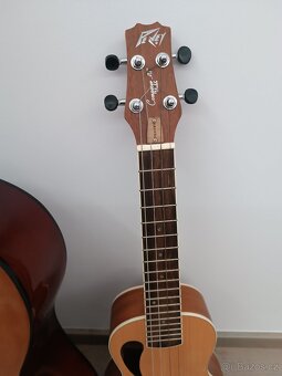 Prodám, kytara a ukulele - 2